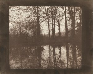 Trees and Reflections by William Henry Fox Talbot